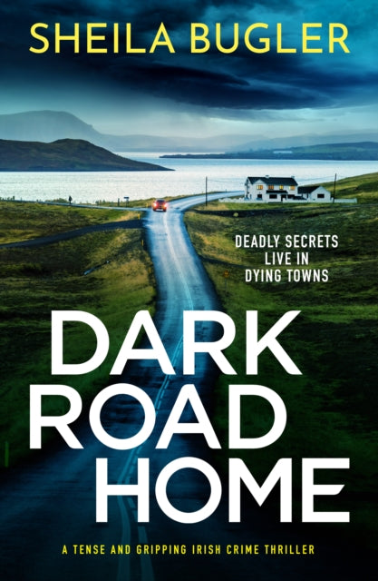 Dark Road Home: A tense and gripping Irish crime thriller
