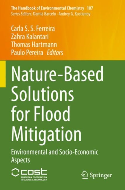 Nature-Based Solutions for Flood Mitigation: Environmental and Socio-Economic Aspects