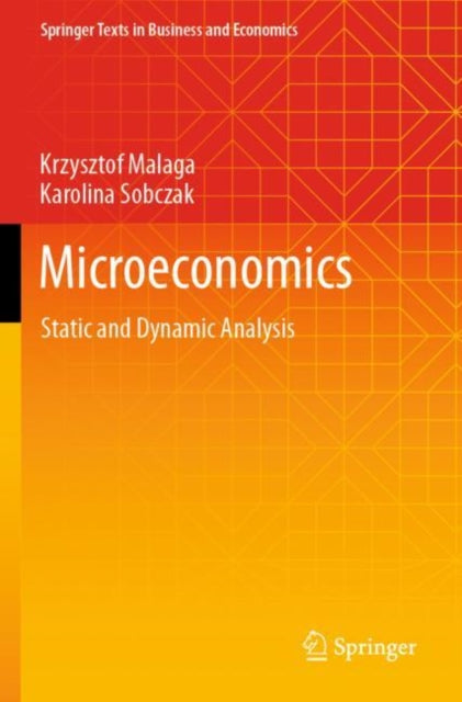 Microeconomics: Static and Dynamic Analysis