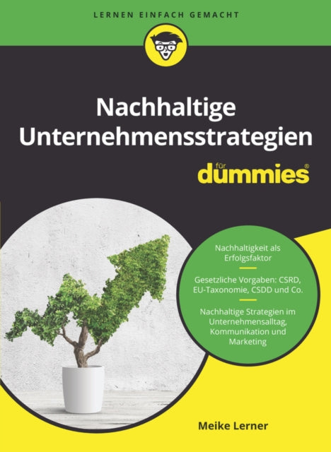 Nachhaltige Unternehmensstrategien fur Dummies