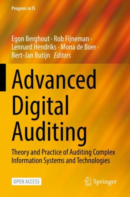 Advanced Digital Auditing: Theory and Practice of Auditing Complex Information Systems and Technologies