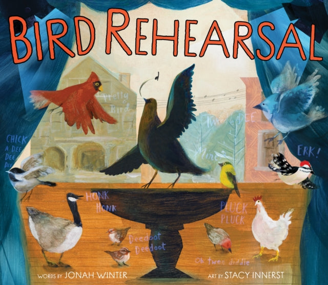 Bird Rehearsal: A Picture Book