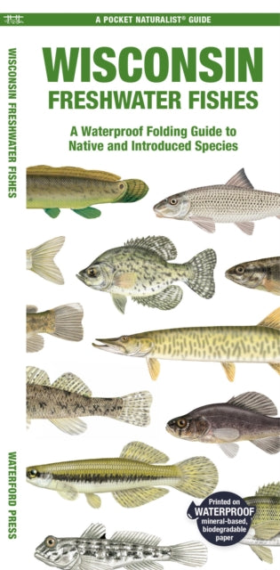 Wisconsin Freshwater Fishes: A Waterproof Folding Guide to Native and Introduced Species