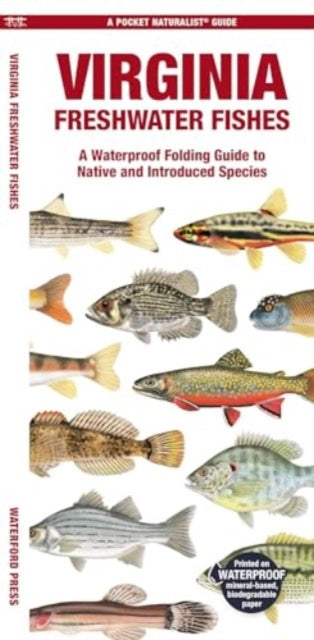 Virginia Freshwater Fishes: A Waterproof Folding Guide to Native and Introduced Species