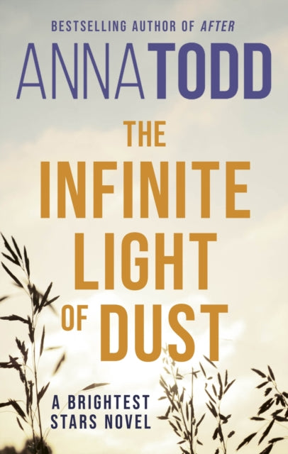 The Infinite Light of Dust: A Brightest Stars novel