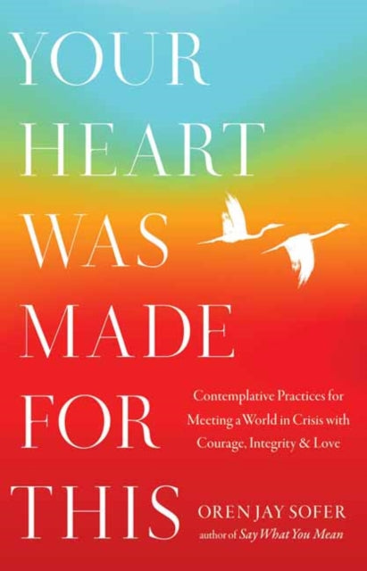 Your Heart Was Made for This: Contemplative Practices for Meeting a World in Crisis with Courage, Integrity, and Love