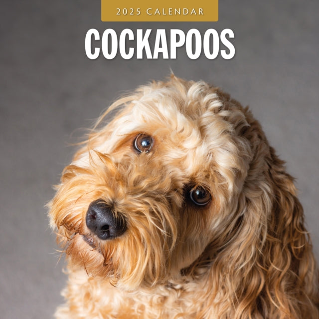 Cockapoos 2025 Square Wall Calendar