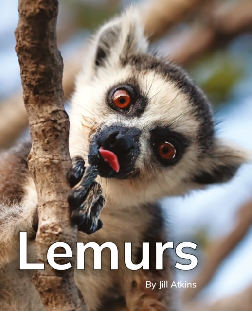 Lemurs: Phonics Phase 5