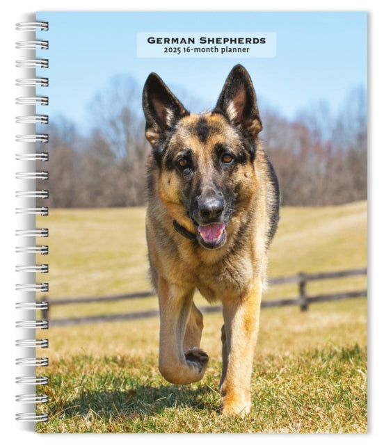 German Shepherds 2025 Engagement