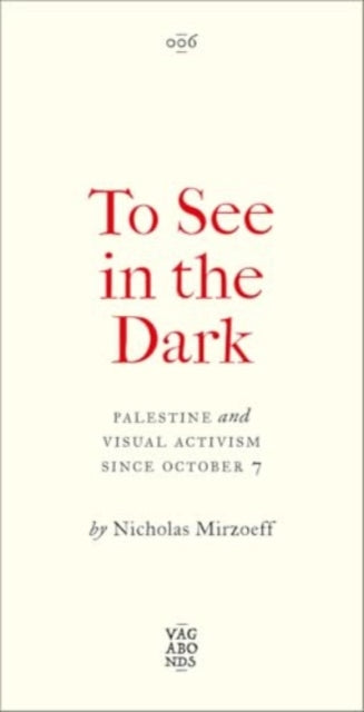 To See In the Dark: Palestine and Visual Activism Since October 7