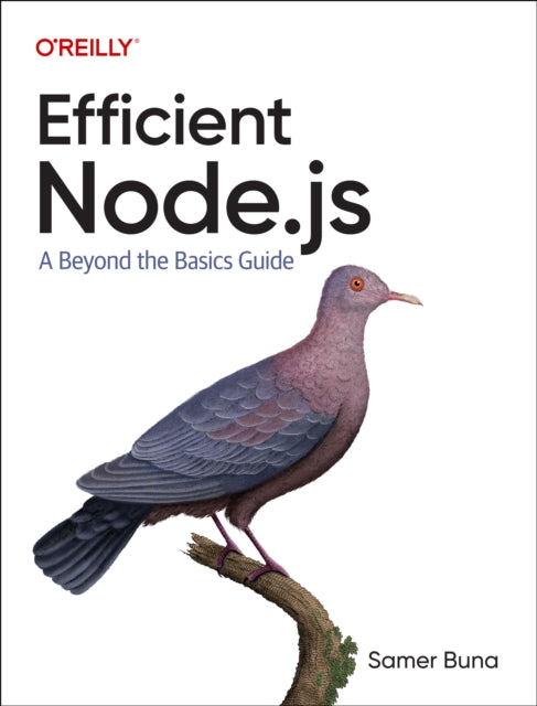 Efficient Node.js: A Beyond The Basics Guide