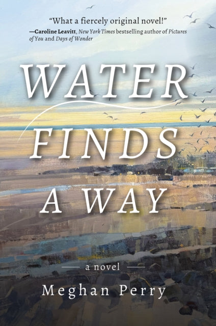 Water Finds a Way a novel