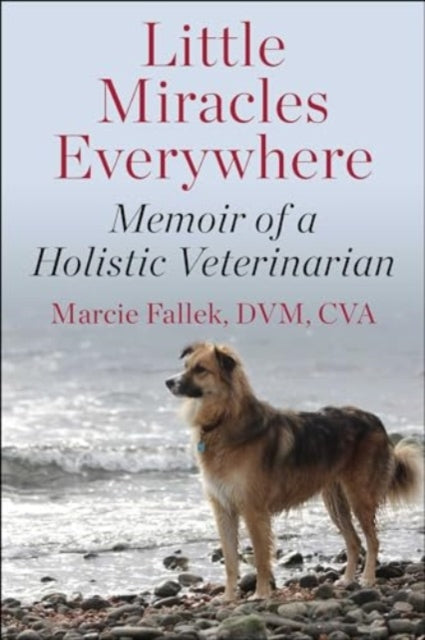 Little Miracles Everywhere: My Unorthodox Path to Holistic Veterinary Medicine