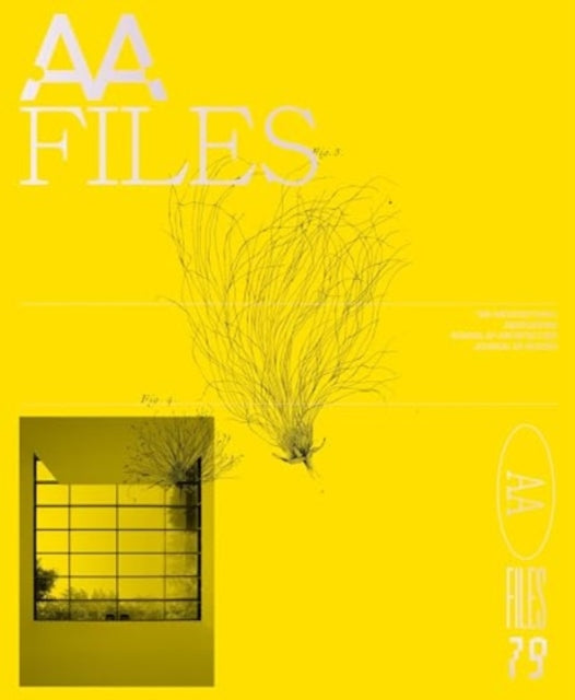 AA Files 79