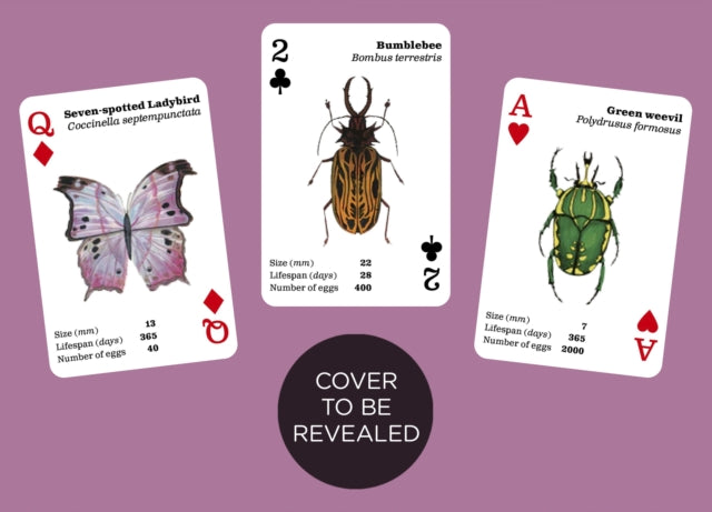 Brilliant Bugs: Playing Cards