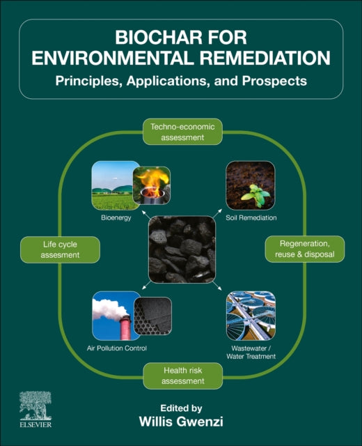 Biochar for Environmental Remediation: Principles, Applications, and Prospects