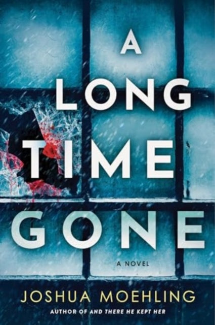 A Long Time Gone: A Novel