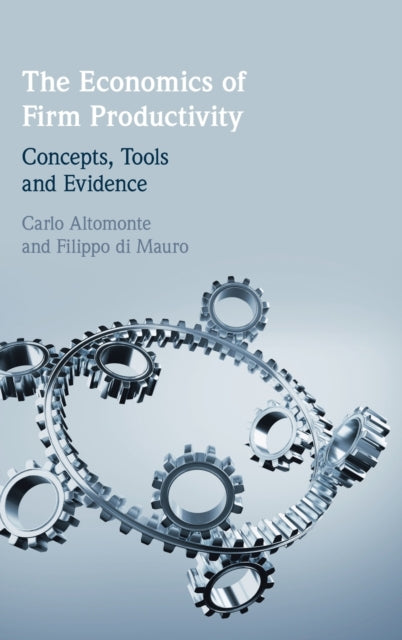 The Economics of Firm Productivity: Concepts, Tools and Evidence