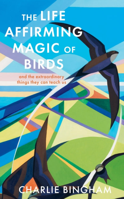The Life-Affirming Magic of Birds: and the extraordinary things they can teach us