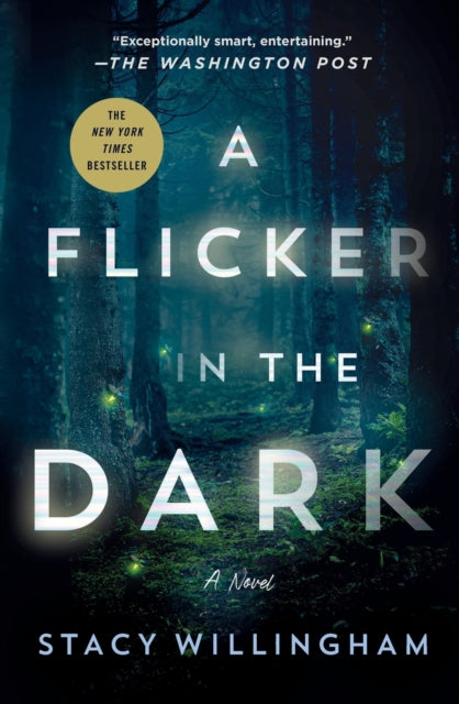 A Flicker in the Dark: A Novel