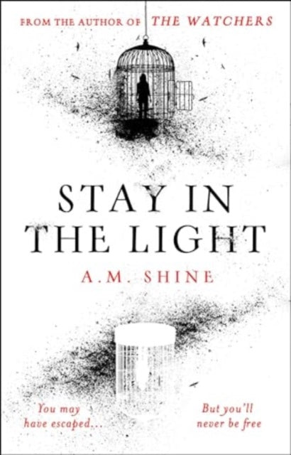 Stay in the Light: the chilling sequel to hit horror novel THE WATCHERS