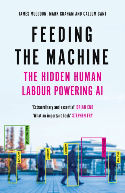 Feeding the Machine: The Hidden Human Labour Powering AI