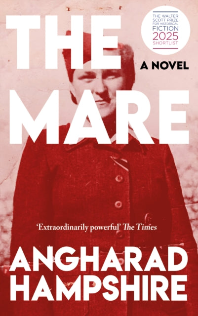 The Mare: A Novel