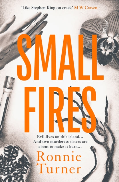 Small Fires: This year's most unsettling, hypnotic contemporary gothic thriller