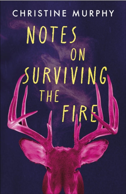 Notes on Surviving the Fire: A razor-sharp, darkly funny literary novel about male violence, a woman's vengeance, and whether killing can ever be justified