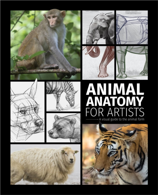 Animal Anatomy for Artists: A visual guide to the form of mammals, reptiles, fish, and birds