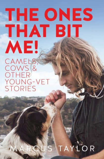 The Ones That Bit Me!: Camels, cows and other young-vet stories