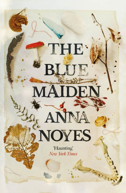 The Blue Maiden: A dazzling feminist gothic about witches, loss and resilience