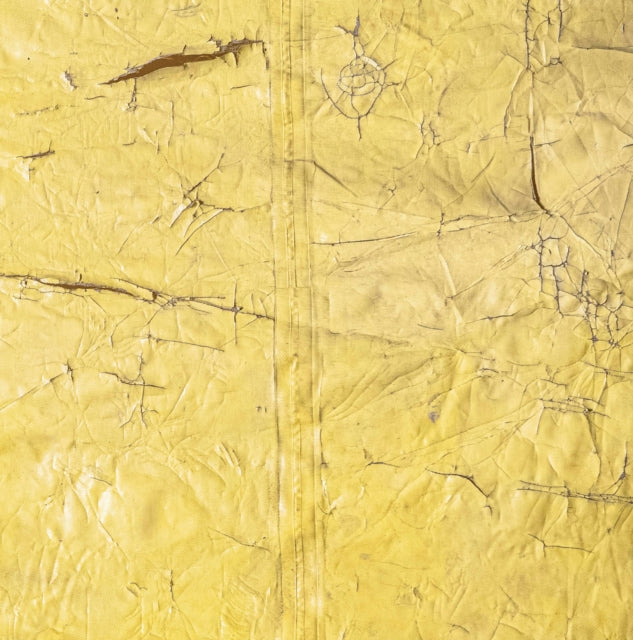 David Hammons