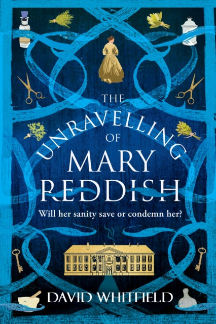 The Unravelling of Mary Reddish: a powerful historical novel about a woman unjustly committed to an asylum