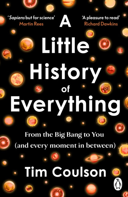 A Little History of Everything: From the Big Bang to you (and every moment in between)