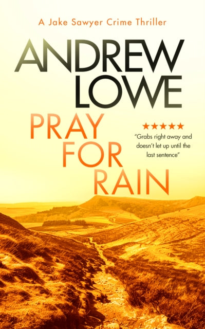 Pray For Rain: A page-turning British detective crime thriller with twists