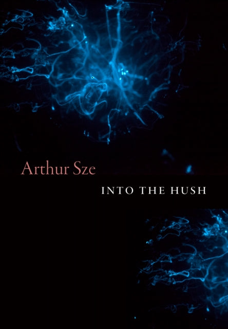 Into the Hush