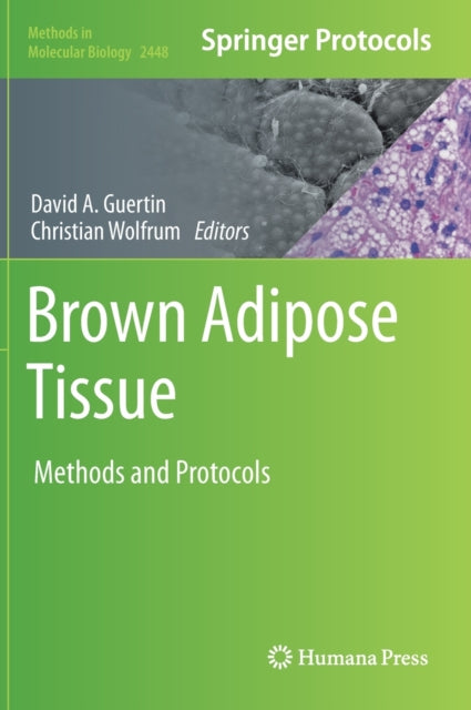 Brown Adipose Tissue: Methods and Protocols