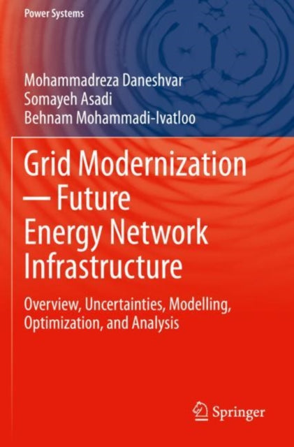 Grid Modernization - Future Energy Network Infrastructure: Overview, Uncertainties, Modelling, Optimization, and Analysis