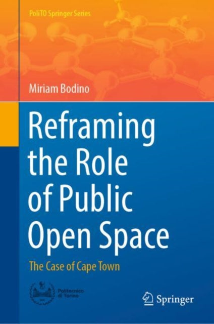 Reframing the Role of Public Open Space: The Case of Cape Town