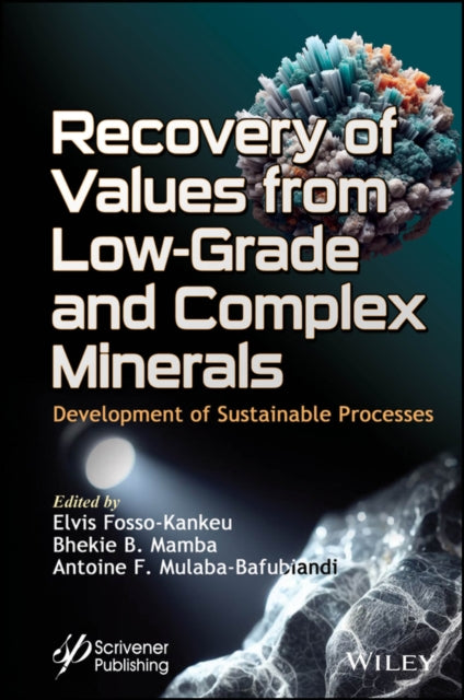 Recovery of Values from Low-Grade and Complex Minerals: Development of Sustainable Processes