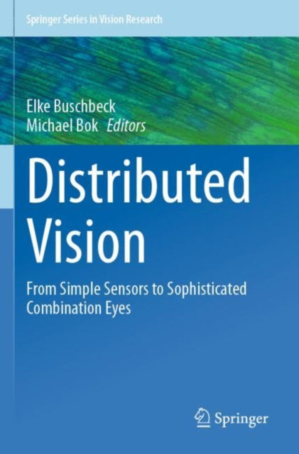 Distributed Vision: From Simple Sensors to Sophisticated Combination Eyes