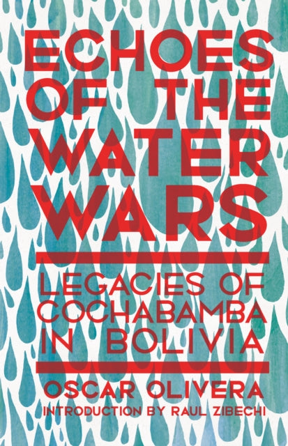 Echoes of Cochabamba: Legacies of the Water Wars in Bolivia