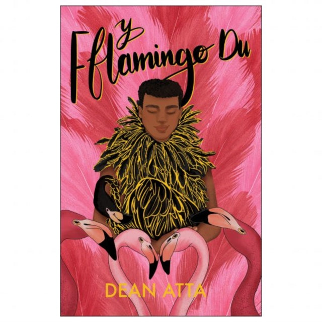 Y Fflamingo Du