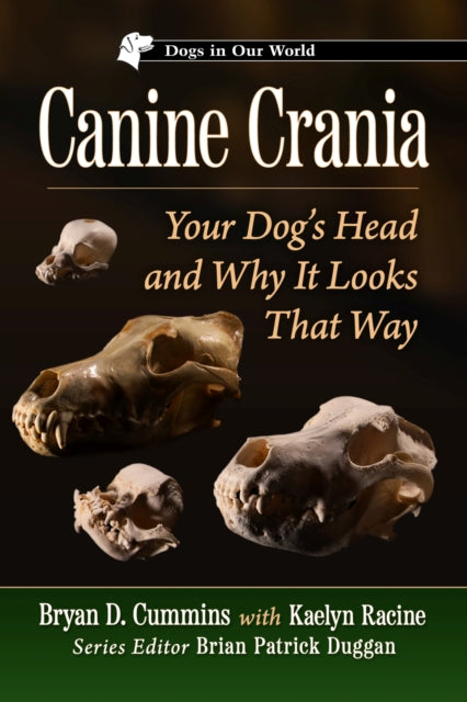Canine Crania: Your Dog's Head and Why It Looks That Way