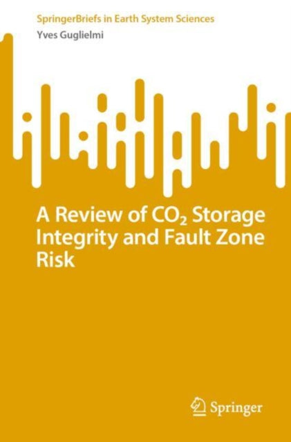 A Review of CO2 Storage Integrity and Fault Zone Risk