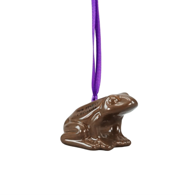 Hanging Decoration Boxed - Harry Potter (Chocolate Frog)