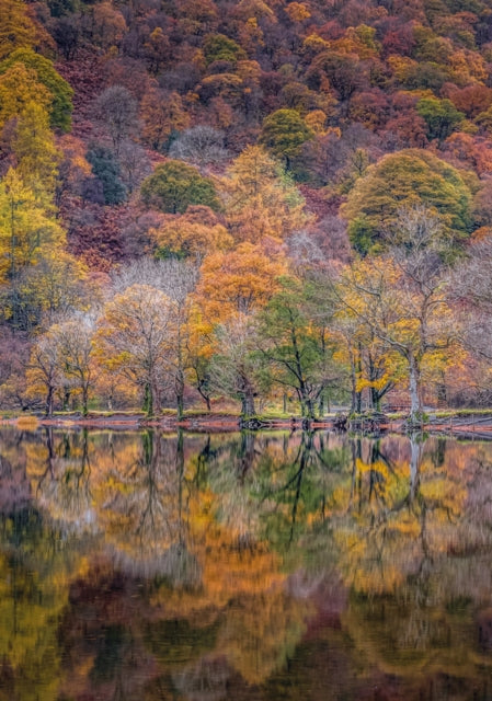 Reflections Upon Autumn 40 Piece Puzzle