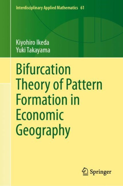 Bifurcation Theory of Pattern Formation in Economic Geography
