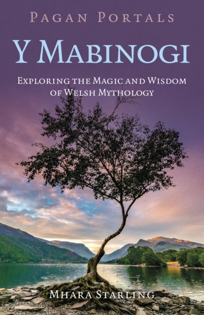 Pagan Portals Y Mabinogi: Exploring the Magic and Wisdom of Welsh Mythology